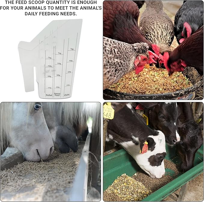 Clear Plastic Feed Scoop with Measurement Markings, Durable Sturdy Handle, Reusable Pellet Scoop for Horse Goat Sheep Cattle Stable Feeding, Large