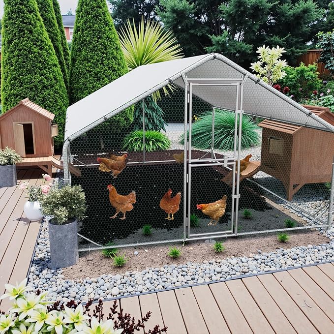 Large Metal Chicken Coop, 10x6.5x6.5FT Chicken Runs for Yard with Cover and Roosting Perch, Split Doors Walk in Chicken Coop