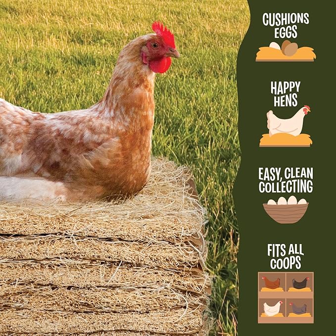MagJo Aspen Nesting Pads for Chicken Coops - USA Grown Aspen Excelsior Nest Box Liners 13x13-10 Pack with 4 oz Nesting Herbs