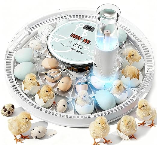 MeeF Egg Incubator for Hatching 28 Eggs, Auto Flip, Independent Atomizing Humidifier, with Duck and Goose Egg Trays (White)