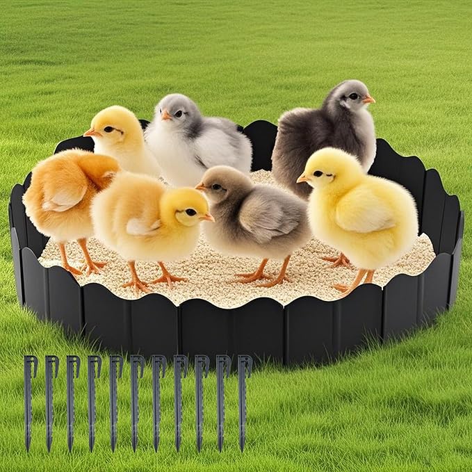 Extra-Large Chicken Dust Bath Tub & Container Kit | 20 Adjustable Fences + 10 Ground Stakes | Heavy-Duty Chicken Coop Accessories for Chicken dust Bath (Black)