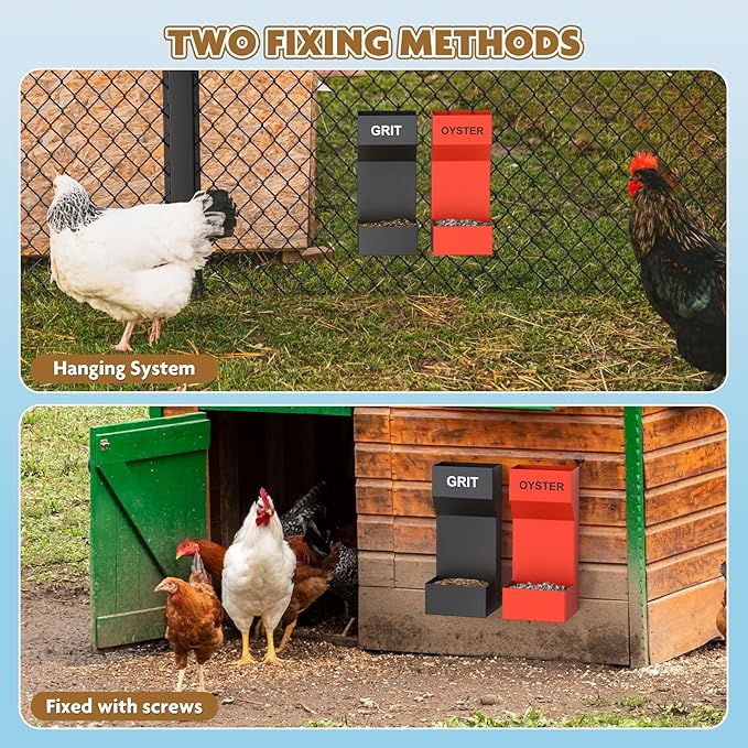 Chicken Oyster Shell Feeder and Grit Feeder,Metal Chicken Feeder,Chicken Coop Accessories,Design for Healthier Hens & Eggs