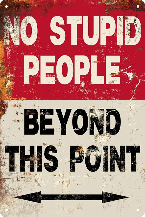 Metal Sign Funny Quote No Stupid People Metal Tin Sign Wall Decor Vintage People Beyond This Point Tin Sign Retro Decor Gift Wall Decor For Bars Restaurants Cafes Pubs 8x12 Inch