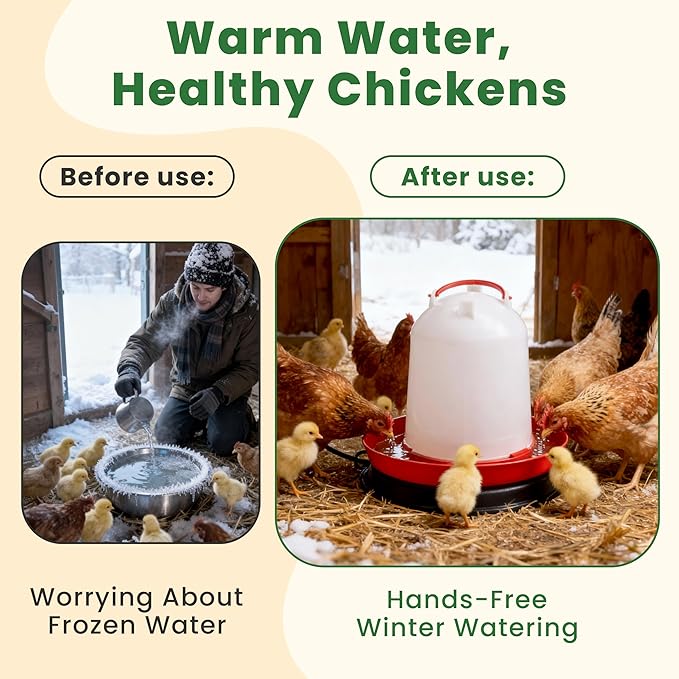 HIRALIY Chicken Heated Waterer, 12 Inch, Anti-Scald PE Surface and Thickened Power Cord, Suitable for Chickens, Ducks, Geese and Pigeons Outdoor Winter Drinking Water