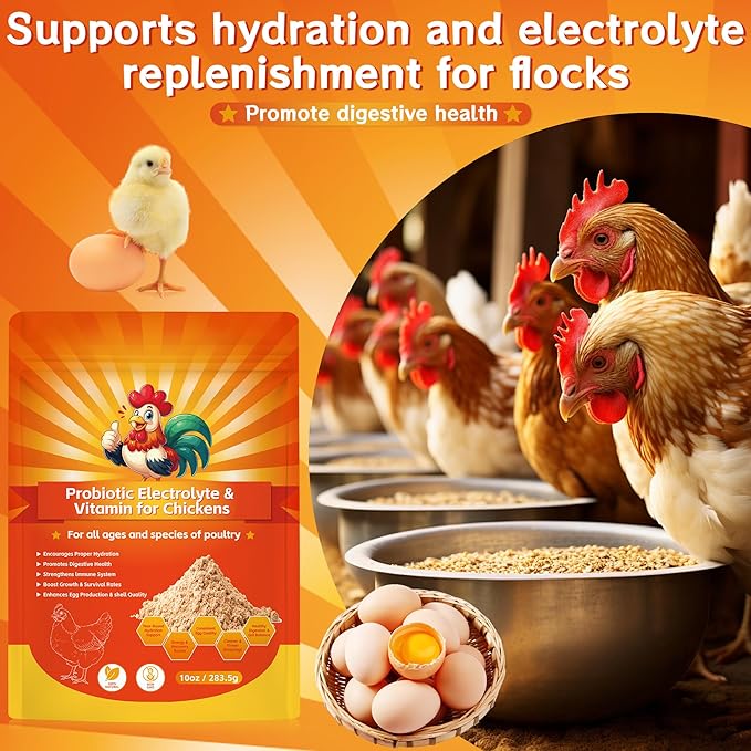 Probiotic + Electrolyte Powder for Chickens, Natural Hydration & Gut Support, Helps Digestive Health, Egg Production
