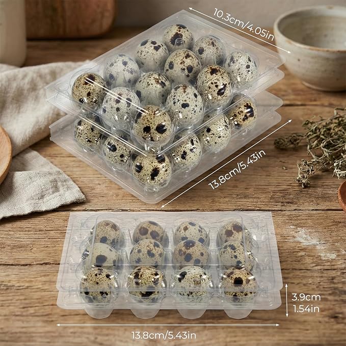 60 Pcs Quail Egg Cartons, 12 Grids Clear Plastic Square Classical 3x4 Style Egg Cartons, Quail Egg Holder Reusable Small Egg Carton Storage Holders Bulkfor Refrigerator