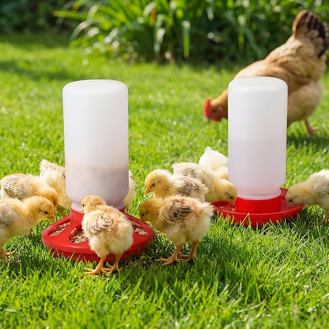12 Pcs 0.3 Gal Chick Feeder and 0.3 Gal Waterer Set Baby Chicken Supplies Poultry Starter Kit Plastic No Waste Chick Coop Brooder Accessories for Small Chicken Quail Pigeon Duckling Birds