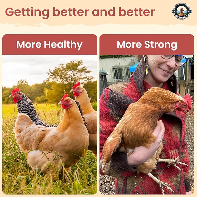 Natural Chicken Dewormer Powder, Chili Mix Formula, 1LB XL Pouch, Poultry Wormer for Laying Hens, Egg Safe, Gut Health Support, Made in the USA for Backyard Flocks