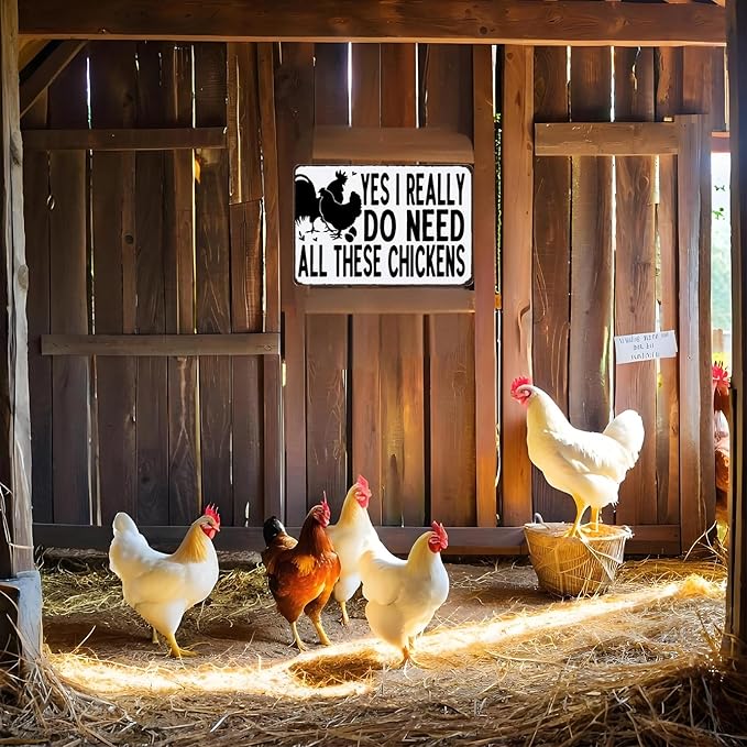 Funny Vintage Metal Chicken Sign, Chicken Decor for Coop Farmhouse