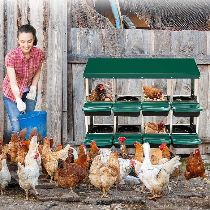 Chicken Nesting Box, 8 Compartments Roll Away Eggs Laying Boxes, Cleanable Pull Out Hen Roosting Boxes, Durable& Easy to Install, Green