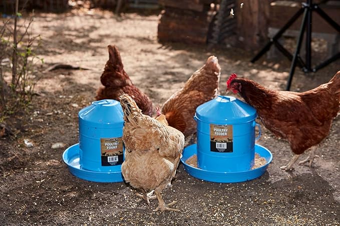 Double-Tuf® Painted Hanging Galvanized Poultry Feeder | Automatic Poultry Feeder | Easy to Use | Durable, Weatherproof and Lightweight | 17 lbs