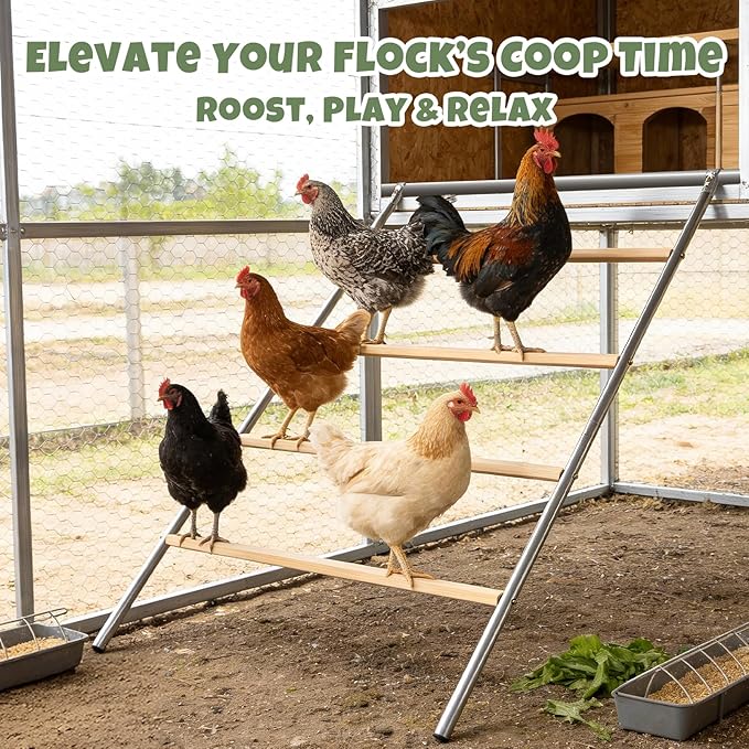 Metal Square Chicken Perches Roosting Bar, 57" L x 40" W Perfect for Backyard Poultry, Chicken Perch for Coop, Easy to Assemble&Clean