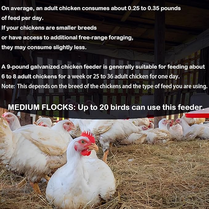 Galvanized Chicken Feeder with Lid - 9 Pounds Capacity - Durable and Rust-Resistant Poultry Feeder for Chickens, Ducks, and Other Poultry HC122 (9 lb)