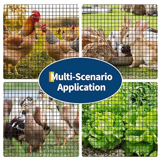 Chicken Wire Fencing 1/2 Inch 48in x 100ft Galvanized Welded Wire Mesh Roll, Chicken Wire Fence for Poultry Rabbit Snake Gopher Cage, Garden Plant Fencing & Animal Netting - Black