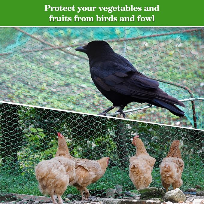 Bird Netting for Garden 13x33ft - Sukh Garden Netting Mesh for Garden Protection Bird Fence Plant Netting Chicken Coop Deer Squirrels Poultry Protect Fruit Trees Vegetable