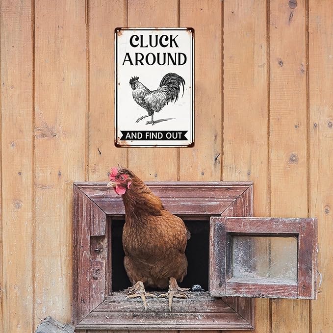 Cluck Around and Find Out Metal Tin Sign for Home Farmhouse Chicken Coop Home Kitchen Wall Decoration Chicken Coop Accessories Decor Wall Art 8x12 Inch
