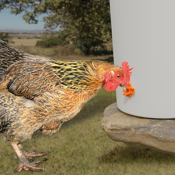 Chicken Waterer Nipples, Pack of 20 (Orange), Horizontal Side Mount, Anti-Leak Automatic Water System for Poultry, Suitable for Chickens, Duck, Quail, Includes Drill Bit & Installation Tool