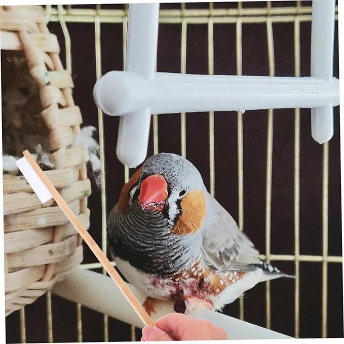2pcs Cage Cleaning Brush Set with Droppings Shovel Multi Function Cleaning Tools for Bird and Small Animal Cages Easy Handling for Quick and Efficient Maintenance