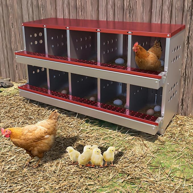 Chicken Nesting Box, 10 Compartment Roll Away Laying Box for Hens, Heavy-Duty Galvanized Steel, Front Egg Collection Tray, 10 Training Eggs Included