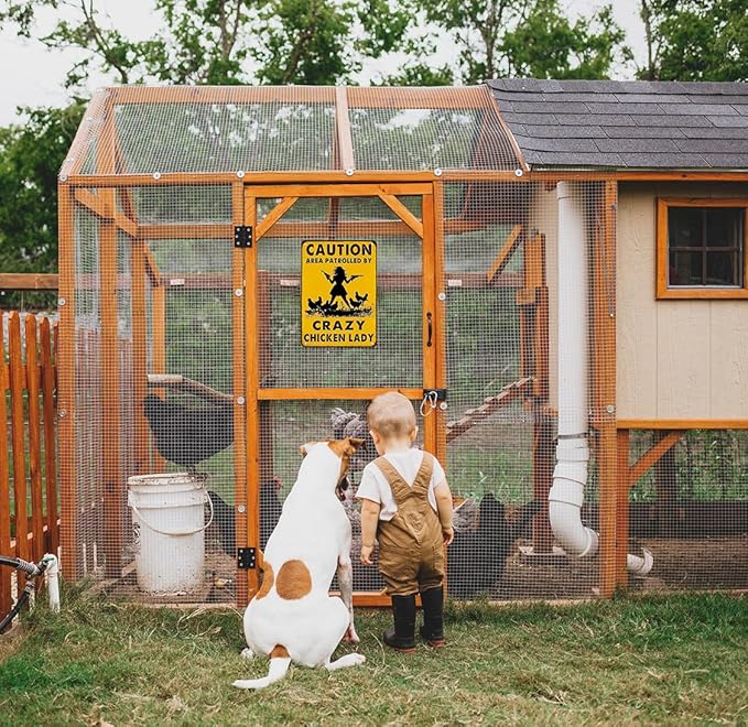Funny Chicken Gifts Caution Area Patrolled By A Crazy Chicken Lady Tin Sign for Home Farm Chicken Coop Farmhouse Kicthen Garden Decor 8 X 12 Inch (3620)