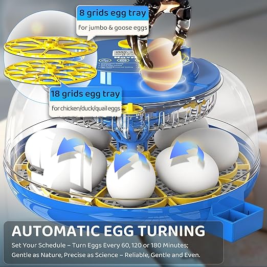 18 Egg Incubator for Hatching Eggs with Fully Automatic Egg Turning, Humidity Control by Bottles, Incubators for Chicken, Ducks, Quail, and Other Poultry Eggs, 360° View with Clear Window