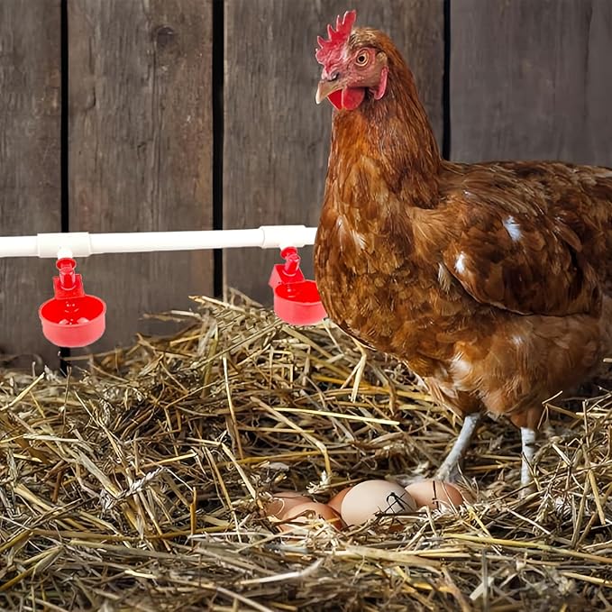 Automatic Chicken Waterer System (46 Accessories Included), Complete PVC Pipelines Set Chicken Water Feeder, Poultry Waterer, DIY Chicken Watering System with Chicken Water Cups (No Bucket Included)