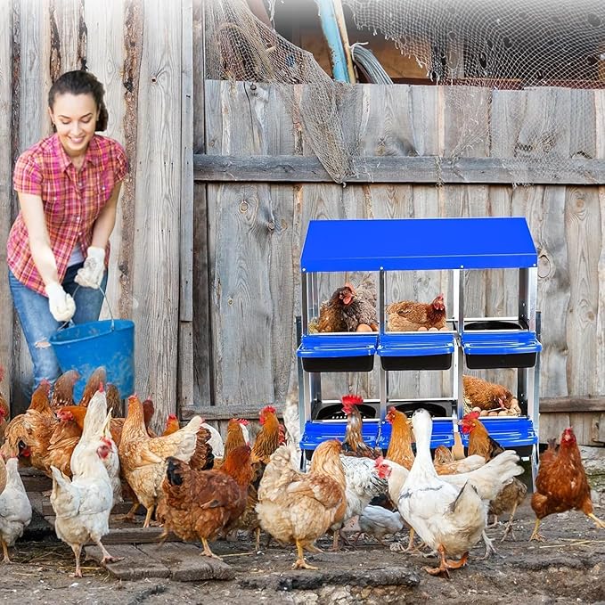 6 Hole Chicken Nesting Boxes - Nesting Boxes Chicken with Roll Away Design & Lid Cover,Easy Egg Collection, Hen Roosting Nest, Durable Poultry Laying Boxes for Hens