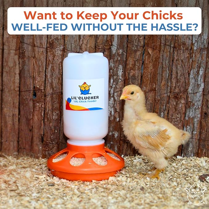 Lil'Clucker 1L Chick Feeder, 1.5L Chicken Waterer - No Leakage Chick Feeder and Waterer Kit, Hanging Baby Chick Waterer, Durable Chicken Water Feeder, Chicken Feeder and Waterer Set, Poultry Waterer