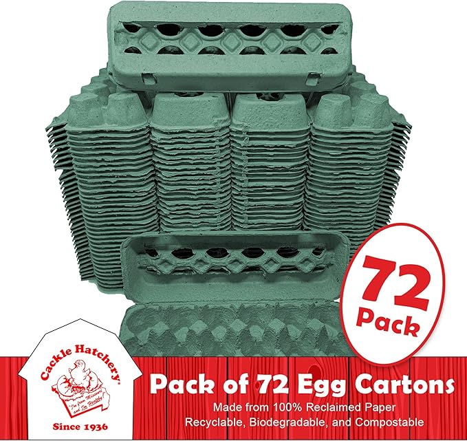 Vented Paper Pulp Egg Cartons - Teal (72)