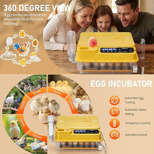 Winado Incubators for Hatching Eggs, 30 Egg Incubator with Automatic Egg Turning, Temperature & Humidity Control, Egg Candler, Automatic Water Filling and Day Counter for Eggs Hatching