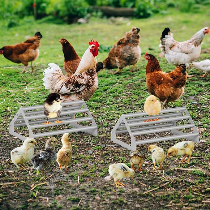 2 Pack Chick Perch Chick Toys for Brooder Chick Chicken Roosting Bar for Coop Chick Jungle Gym Perch Stand for Baby Chick, Easy to Assemble and Clean, Indoor/Outdoor Use, Large