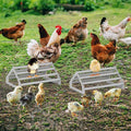 2 Pack Chick Perch Chick Toys for Brooder Chick Chicken Roosting Bar for Coop Chick Jungle Gym Perch Stand for Baby Chick, Easy to Assemble and Clean, Indoor/Outdoor Use, Large