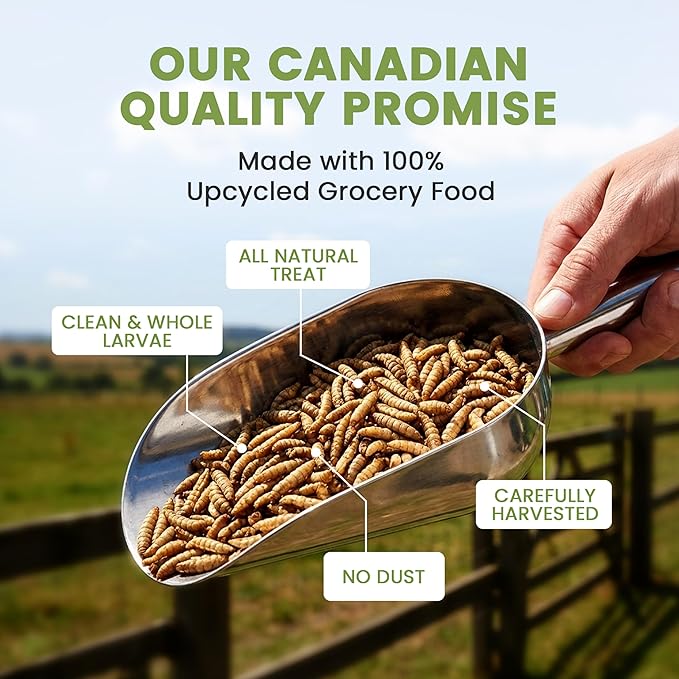 Black Soldier Fly Larvae for Chickens & Ducks – 5lb Dried Worms & Grubs – High Protein & Calcium Mealworms Alternative – Dried Black Fly Larvae for Chickens Bulk – Non-GMO, Farmed in North America
