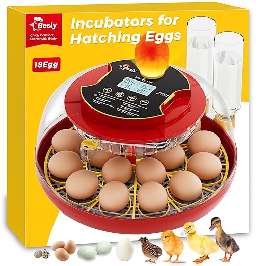 Egg Incubator, Automatic Egg Incubator, 18 Egg Incubator, Incubator for Hatching Eggs, Chicken Egg Incubator – Temperature & Humidity Control, Auto Turner, Alarm & Candling for Backyard Home