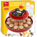 Egg Incubator, Automatic Egg Incubator, 18 Egg Incubator, Incubator for Hatching Eggs, Chicken Egg Incubator – Temperature & Humidity Control, Auto Turner, Alarm & Candling for Backyard Home