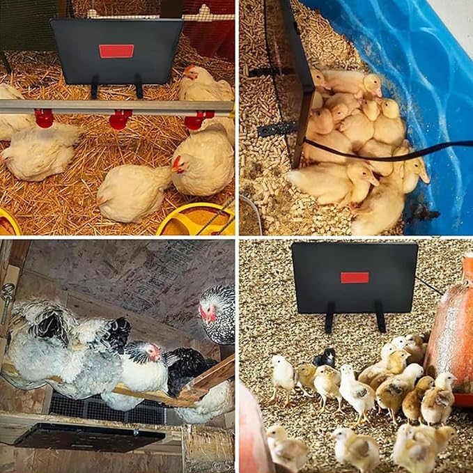 PINNKL Dual Sided Chicken Coop Heater for Winter, 2 * 100 Watts Chicken Heater with Independent Switch & Digital Display, Two Ways to Use, for Chicks Poultry Pets