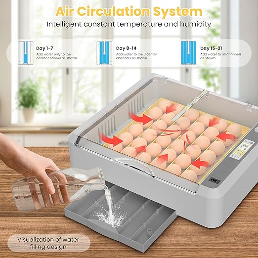 36-60 Egg Incubator with Automatic Egg Turning and Humidity Control, Adjustable Chicken Egg Incubator with Digital Display, for Hatching Eggs Include Chicken Duck Quail Eggs(Yellow)