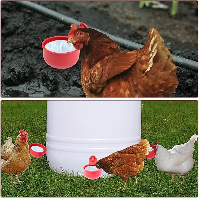 20 Pack Chicken Water Cups, Automatic Chicken Waterer for Poultry Automatic Chicken Watering System, Long-Lasting Use Chicken Waters, Water Feeder Kit for Chick, Duck, Goose and Bunny
