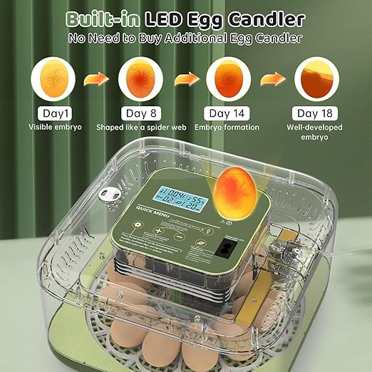 Incubators for Hatching Eggs 12 Egg Digital Egg Incubator Precision Auto Temp Humidity Control 6 Gear Adjustable Auto Turner Auto Stop Turning Hatching Days Display for Chicken Duck Goose Eggs