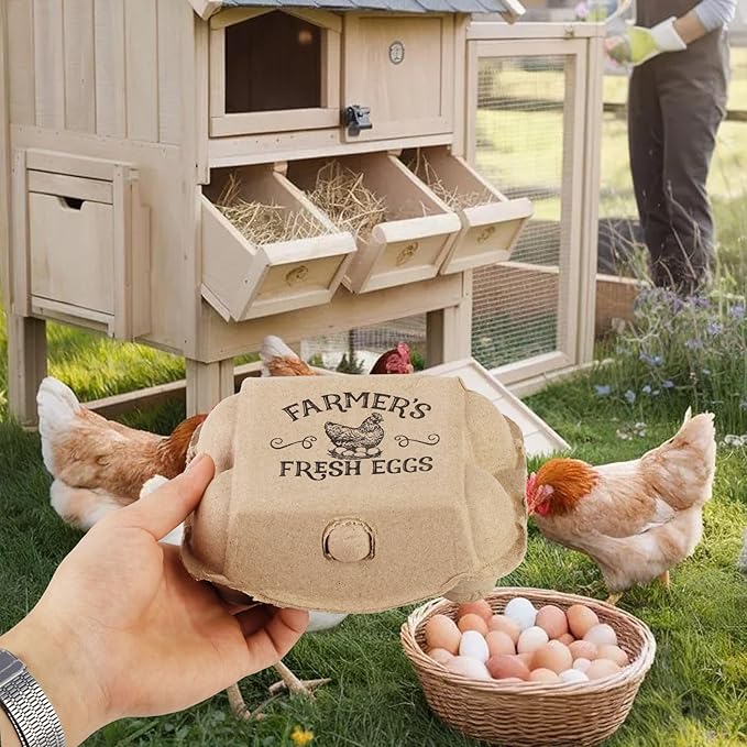 40 Pack Egg cartons 2x3 Style Half dozen egg cartons Bulk 6 Count Reusable Paper pulp egg storage tray Sturdy egg containers with instruction cards and stickers for Family Farm Market