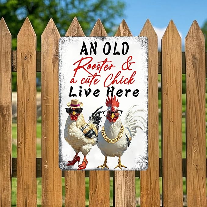 Chicken Metal Signs Chicken Coop Accessories Tin Sign Rooster Wall Decor Vintage Style An Old Rooster And A Cute Chick Live Here Tin Plaque For Farmhouse Garden Gate Fence Yard Decor 12x8 Inch