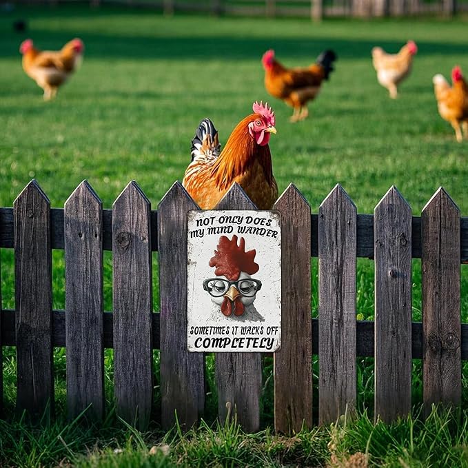 Funny Chicken Signs Not Only Does My Mind Wander Aluminium Sign Metal Chicken Signs Decor Home Ktichen Farm Are Wall 12x8 Inch Vintage Chicken Signs For Coop Metal Tin Signs Poster