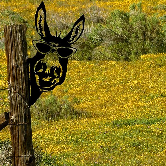Farm Peeping Animal Metal Art Outdoor Decor Garden Fence Decoration, Farmhouse Backyard Hang Artwork Wall Decor, Outdoor Yard Art Patio Lawn Statue Gift for Loved Dad Grandpa (Donkey)