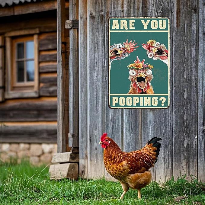 Vintage Are You Pooping Chicken Metal Sign Funny Chicken Coop Farm Metal Poster Home Kitchen Bathroom Garden Toilet Tin Sign Wall Decor 12x16 Inch