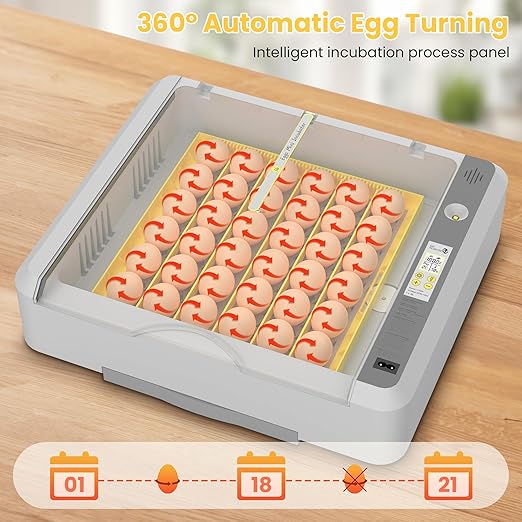 36-60 Egg Incubator with Automatic Egg Turning and Humidity Control, Adjustable Chicken Egg Incubator with Digital Display, for Hatching Eggs Include Chicken Duck Quail Eggs(Yellow)