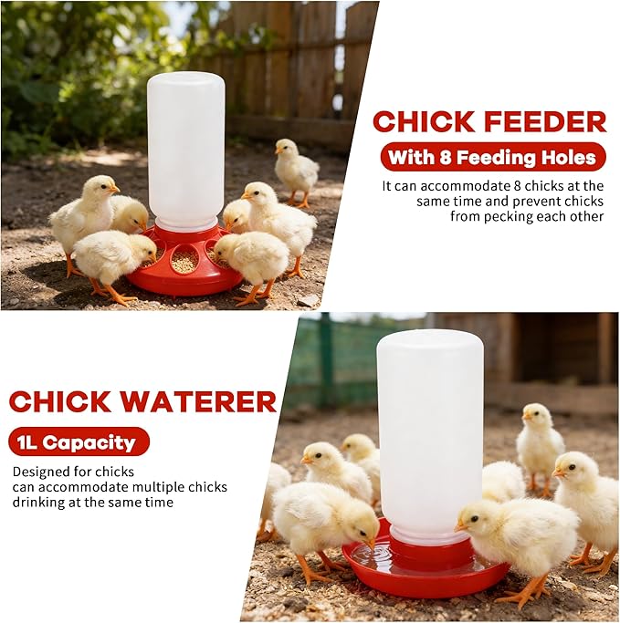 Chicken Feeder and Waterer Set, Chick Starter Kit with Chick Perch
