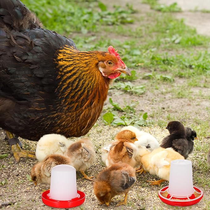 Chicken Feeder and Waterer Set Ducklings Quail Feeders Poultry Baby Chick Plastic Drinker and Waterer Kit for Farm and Brooder Use 4" X 3.5"