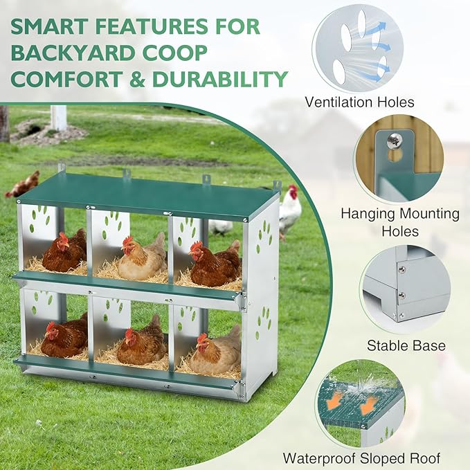 EAGLE PEAK 6-Hole Wall Mounted Chicken Nesting Box, Roll Away Hen Laying Box with Sloped Roof & Easy Clean Tray, Galvanized Steel for Backyard Chicken Coops (Green)