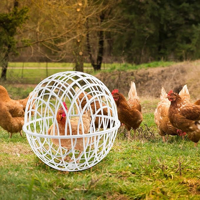 3 Pieces Ball-Shaped Movable Chicken Coop Farm Courtyard Outdoor Rolling Pigeon Bunny Duck Hutch Safety Balls Cage Preventing Dog Bites Trampled by Horse