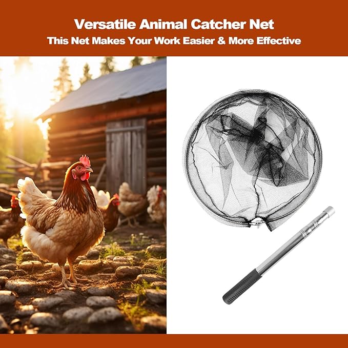 Animal Catcher Net, Chicken Catching Net for Poultry Supplies, Extendable 72" Made of Stainless Steel Fishing net Catcher for Catching Small Duck, Geese, Bird, Bat, Chickens, cat, Poultry